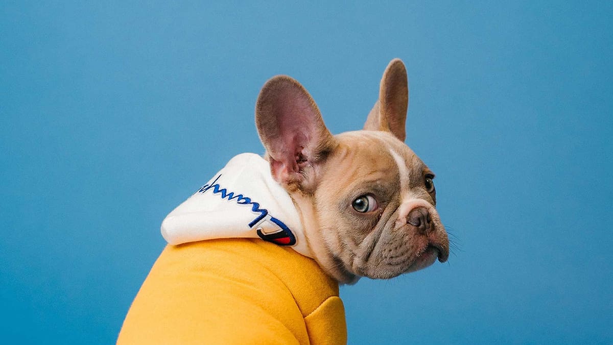 The 3-Step Strategy to Building a High-Revenue FAST Channel